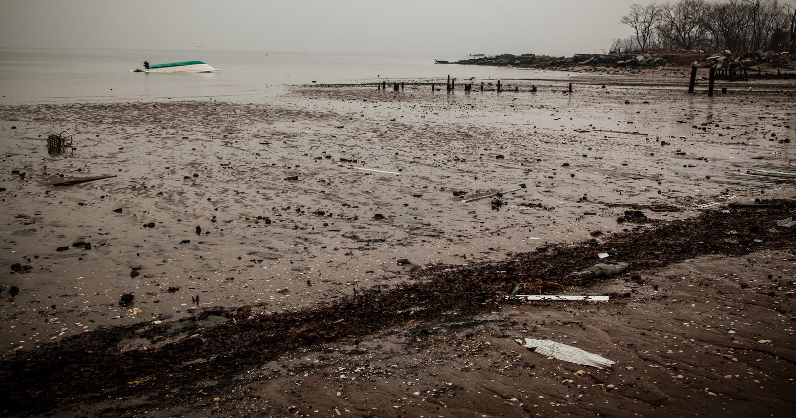 art-of-sandy-mo-staten island 2-77.jpg